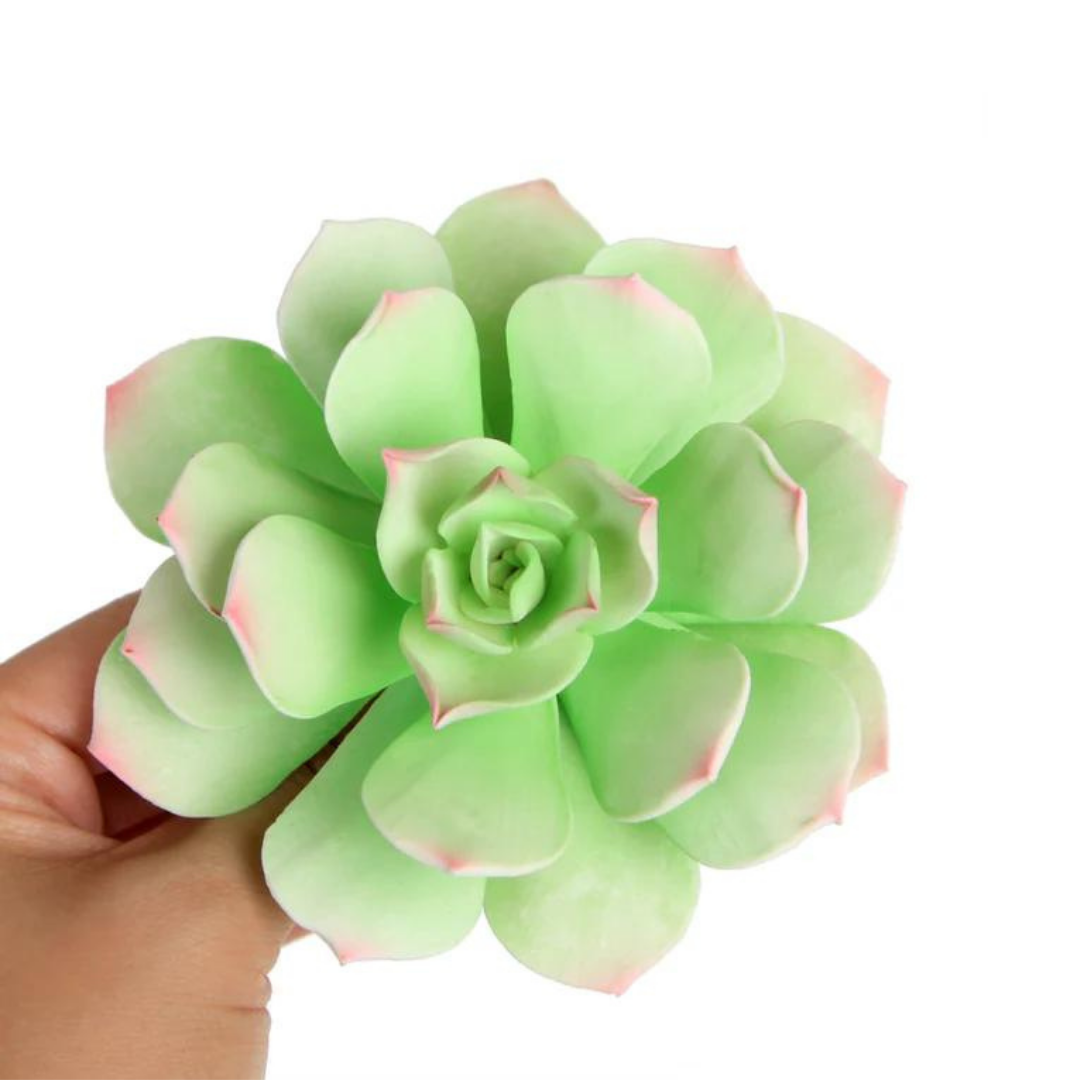 b0d17db264ac8402a143ac0f512b59d4