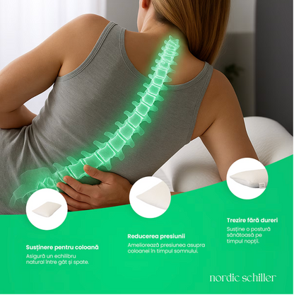 Perna Nordic Schiller Clasica Din Microfibra Moale Cu Husa Din Bumbac, Forma Dreptunghiulara, Respirabila, Hipoalergenica, Lavabila La 60°C, Ideala Pentru Orice Pozitie De Somn, 50x70 cm, Alb